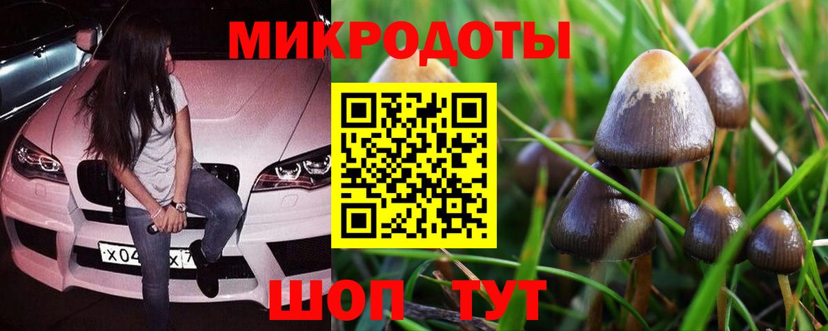 Галлюциногенные грибы мухоморы Старая Купавна