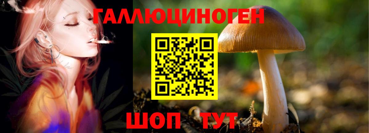 Старая Купавна  Псилоцибиновые грибы Psilocybine cubensis  Вход с VPN 